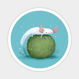 Axolotl on a Mossball Magnet